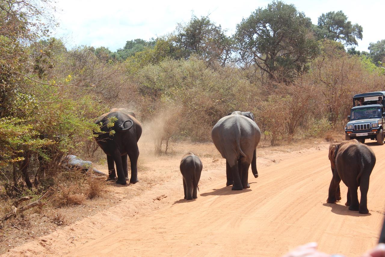 Wild Lotus Yala Villa ทิซซามาฮารามา ภายนอก รูปภาพ